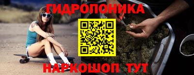 твердый Будённовск