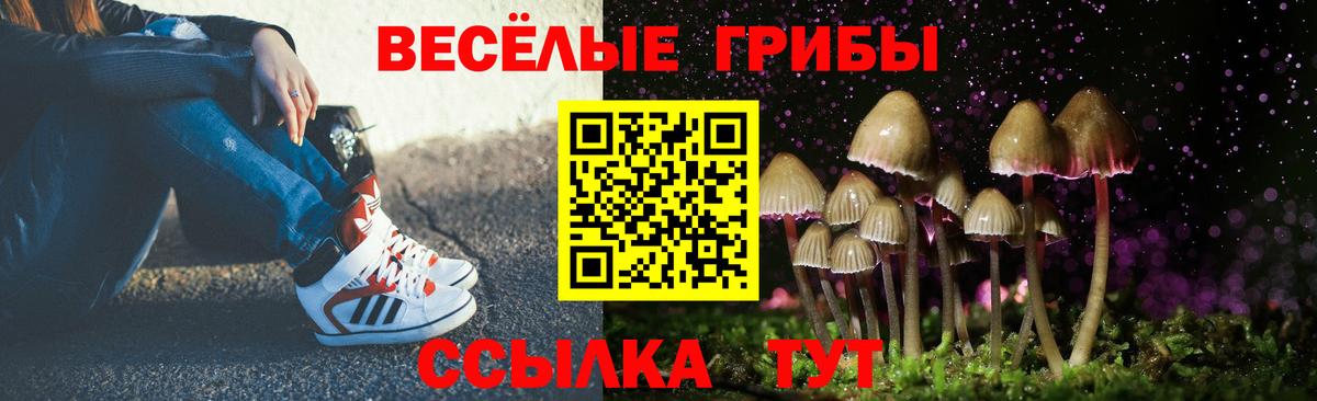 Конаково  Псилоцибиновые грибы MAGIC MUSHROOMS  Вход с VPN 
