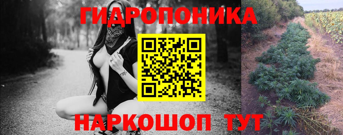 Конопля AK-47  Бошки Шишки THC 21%  Вход с VPN  Бошки Шишки марихуана  Конаково  Бошки марихуана Bruce Banner 